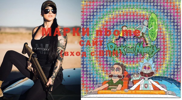 гидропоника Новозыбков