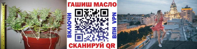 Купить где  Чебаркуль  ТГК концентрат 